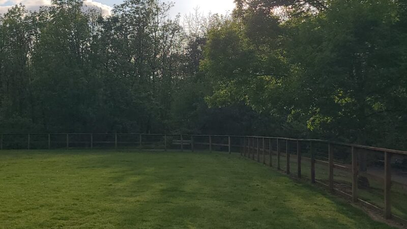 Waluga Dog Park - Lake Oswego, OR