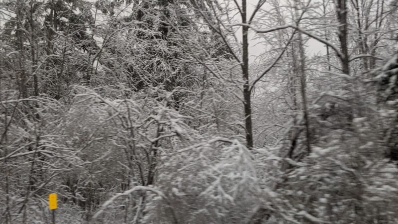 Jessup River Wild Forest - Lake Pleasant, NY