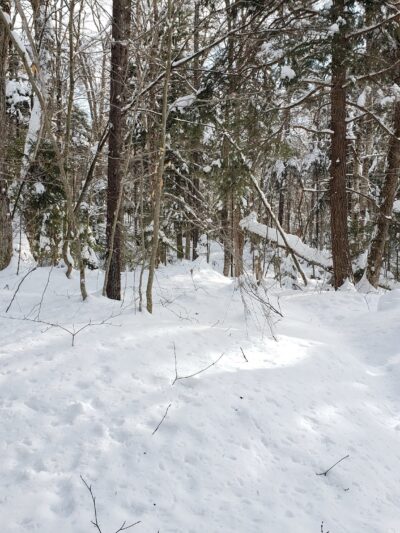 Jessup River Wild Forest - Lake Pleasant, NY