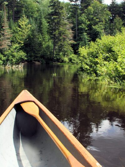 Jessup River Wild Forest - Lake Pleasant, NY