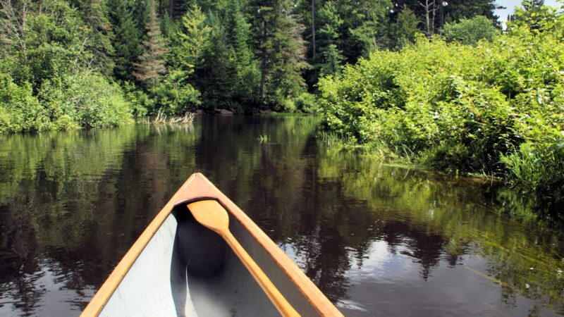 Jessup River Wild Forest - Lake Pleasant, NY
