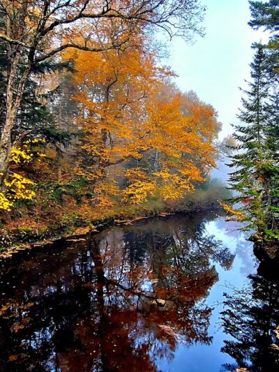 Jessup River Wild Forest - Lake Pleasant, NY
