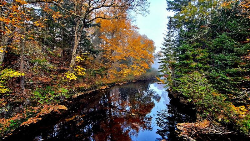 Jessup River Wild Forest - Lake Pleasant, NY