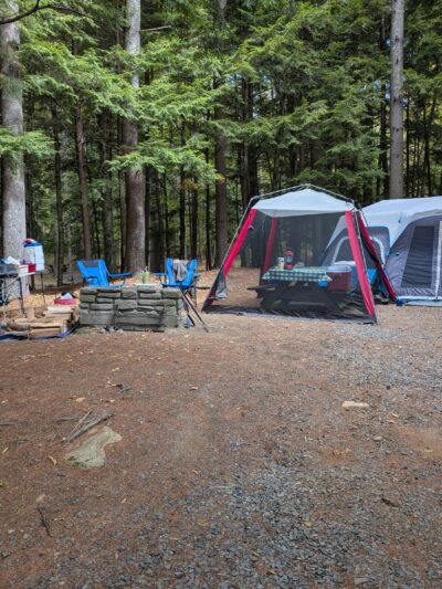 Moffitt Beach State Campground - Lake Pleasant, NY