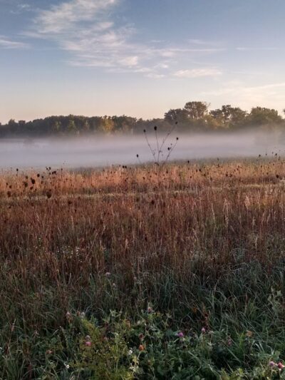 Duck Farm Forest Preserve - Lake Villa, IL