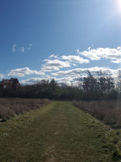 Duck Farm Forest Preserve - Lake Villa, IL