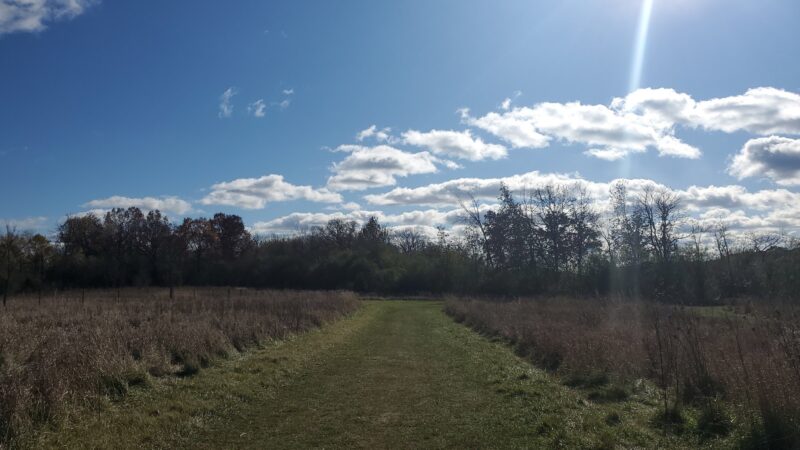 Duck Farm Forest Preserve - Lake Villa, IL