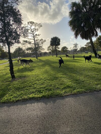 Lake Woof Dog Park - Lake Worth Beach, FL