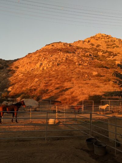 San Diego River Park Trail, El Monte Valley - Lakeside, CA