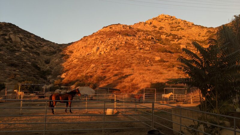 San Diego River Park Trail, El Monte Valley - Lakeside, CA