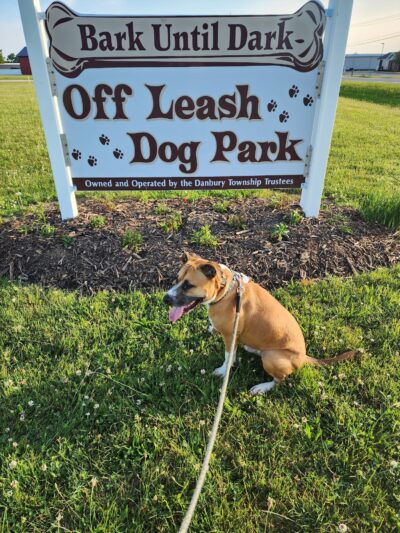 Bark Until Dark Dog Park - Lakeside Marblehead, OH