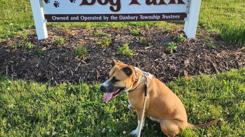 Bark Until Dark Dog Park - Lakeside Marblehead, OH