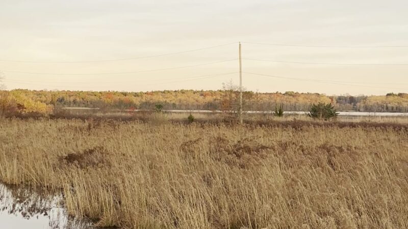 Betty's Neck - Lakeville, MA