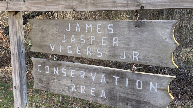 James Jasper Vigers Jr. Conservation Area - Lakeville, MA