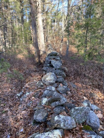 James Jasper Vigers Jr. Conservation Area - Lakeville, MA