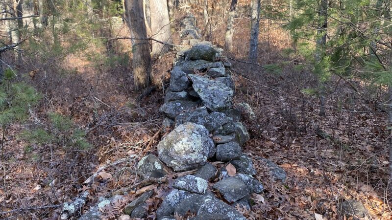 James Jasper Vigers Jr. Conservation Area - Lakeville, MA