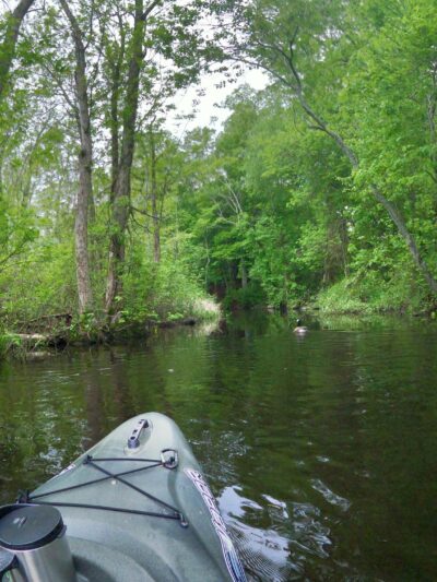Tamarack Park - Lakeville, MA