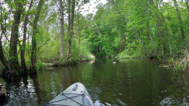 Tamarack Park - Lakeville, MA