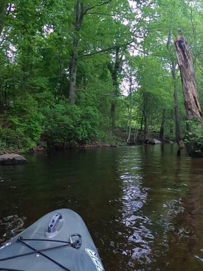 Tamarack Park - Lakeville, MA