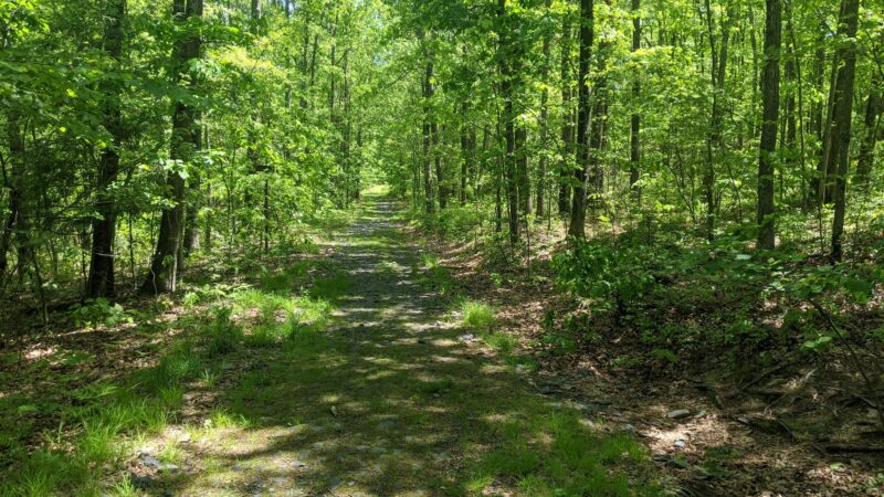 Shuman Point Hiking Trail - Lakeville, PA