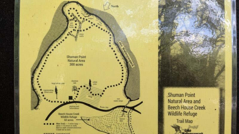 Shuman Point Hiking Trail - Lakeville, PA