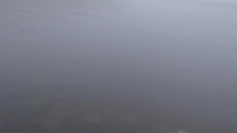 Shuman Point Hiking Trail - Lakeville, PA