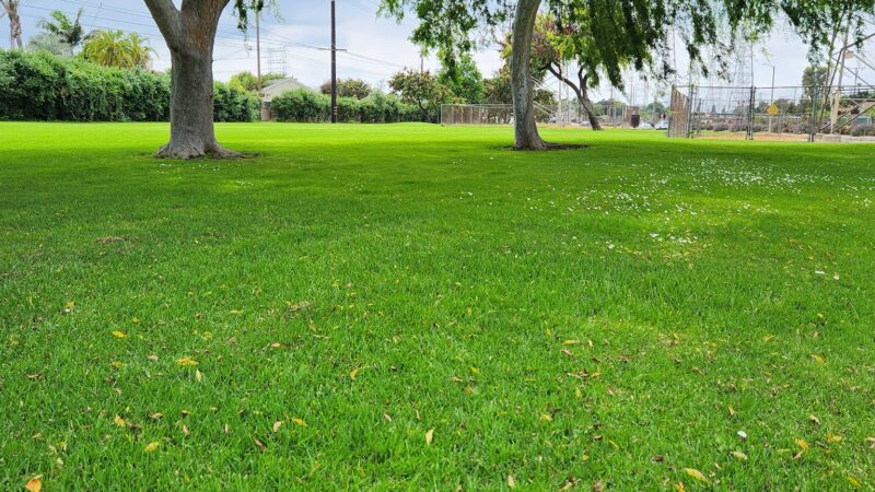 Candleverde Park - Lakewood, CA