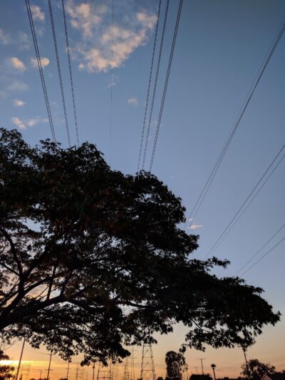 Candleverde Park - Lakewood, CA