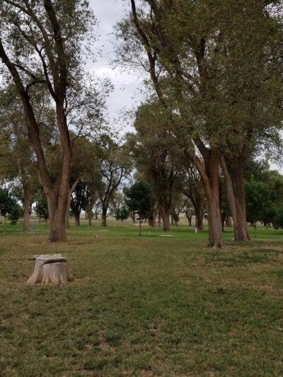 Forrest Park - Lamesa, TX