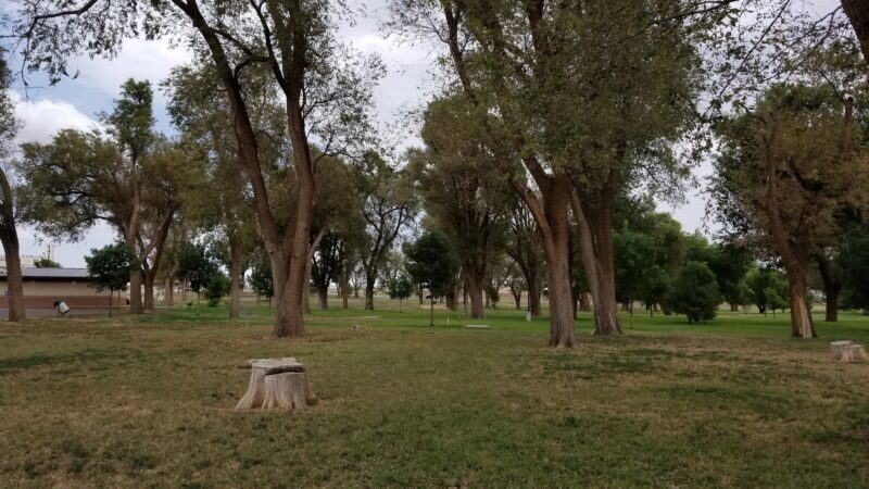 Forrest Park - Lamesa, TX