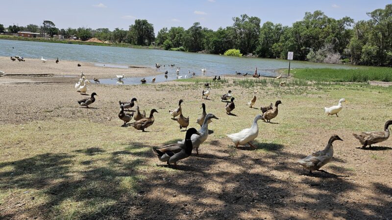 Ninth Street Park - Lamesa, TX