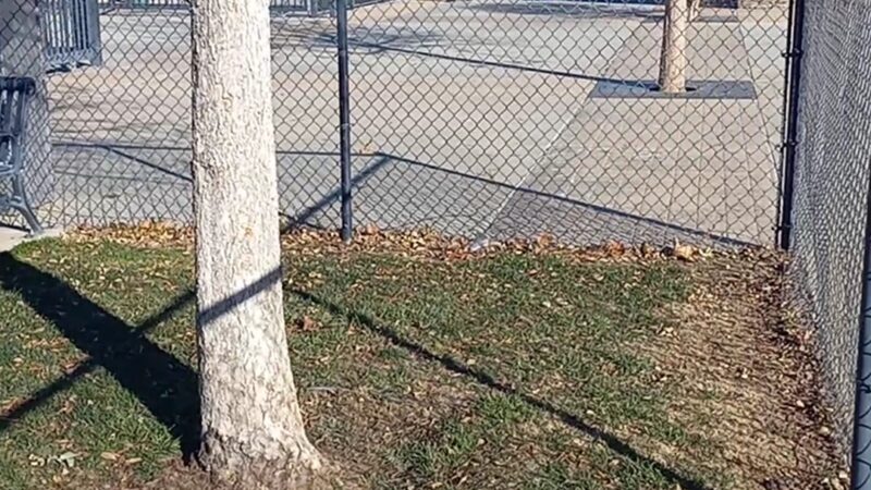 Heroes Dog Park - Lancaster, CA