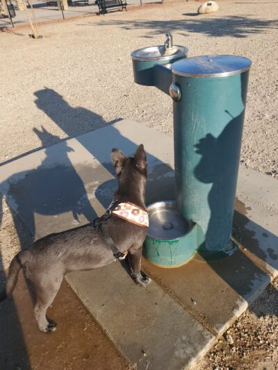 Heroes Dog Park - Lancaster, CA