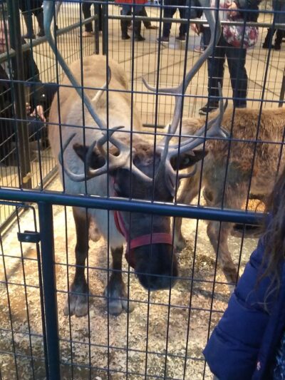 Calvin G. High Pavilion - Lancaster, PA