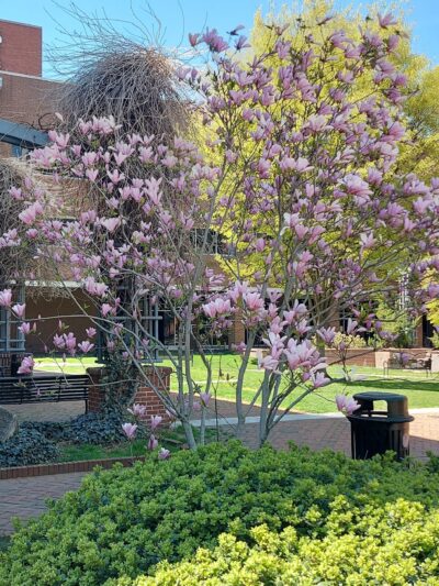 Binns Park - Lancaster, PA