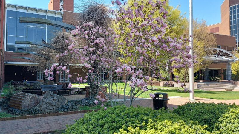 Binns Park - Lancaster, PA