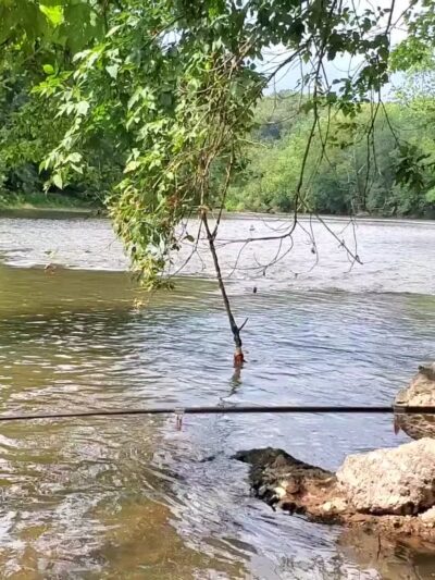 Conestoga Greenway S. Conestoga Dr. Parking Lot - Lancaster, PA