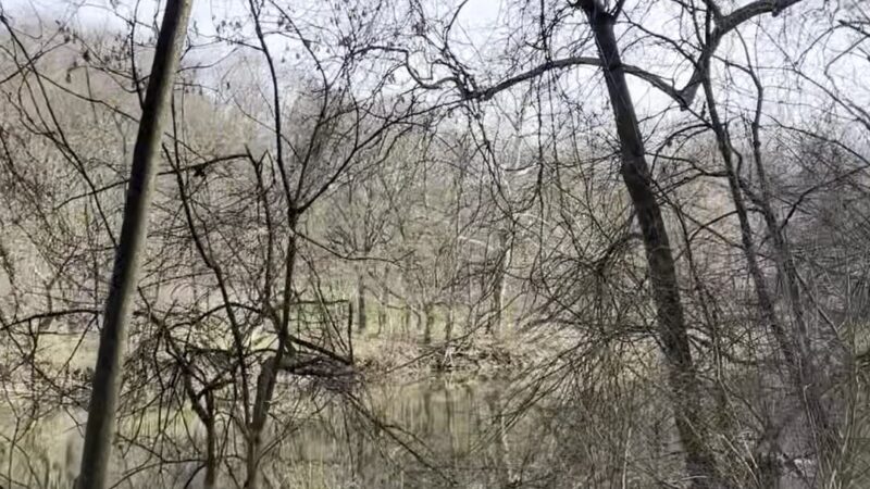 Conestoga Greenway S. Duke St. Parking Lot - Lancaster, PA