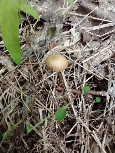 Conestoga Greenway S. Duke St. Parking Lot - Lancaster, PA