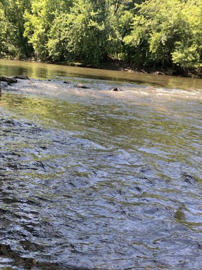 Conestoga Greenway Trail - Lancaster, PA