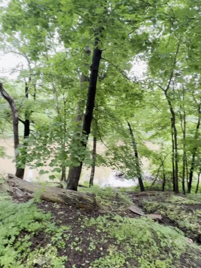 Conestoga Greenway Trail - Lancaster, PA