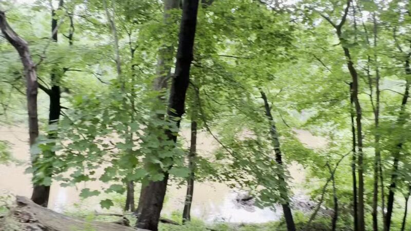Conestoga Greenway Trail - Lancaster, PA