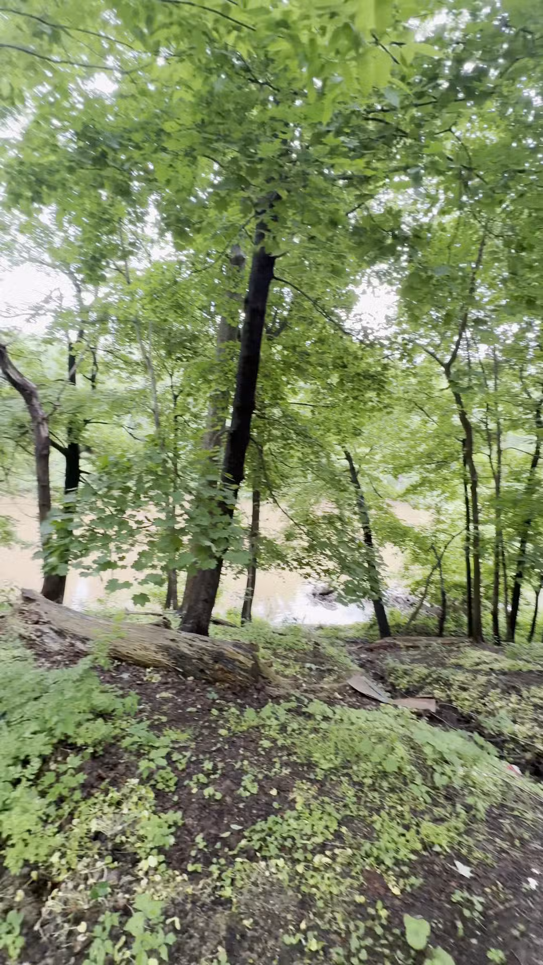 Conestoga Greenway Trail - Lancaster, PA
