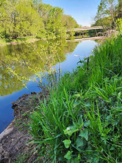 Conestoga Pines - Lancaster, PA