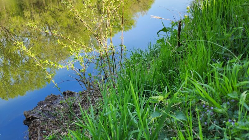 Conestoga Pines - Lancaster, PA