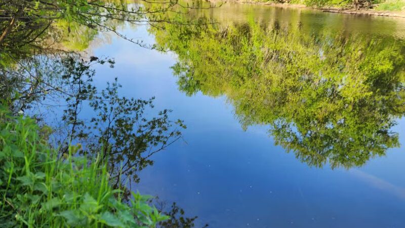 Conestoga Pines - Lancaster, PA