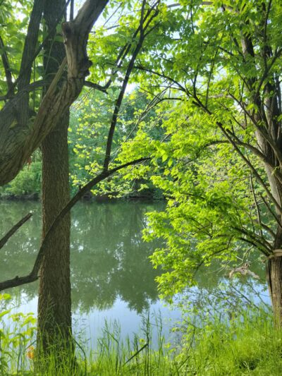 Conestoga Pines - Lancaster, PA