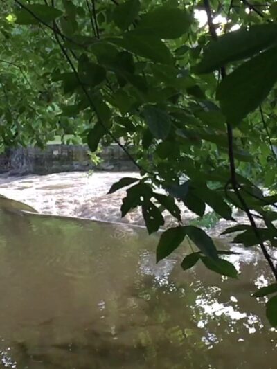 Flory Park - Lancaster, PA