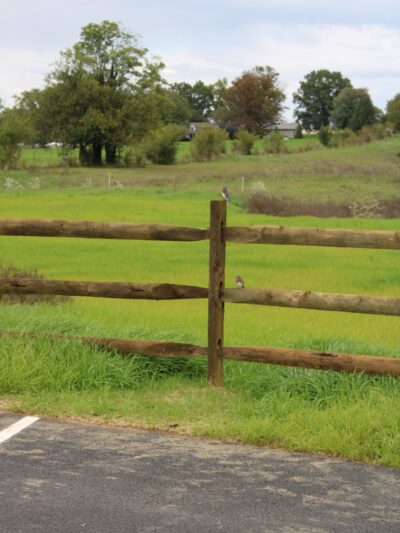 Greater Lancaster Heritage Pathway - Lancaster, PA