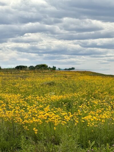 Greater Lancaster Heritage Pathway - Lancaster, PA